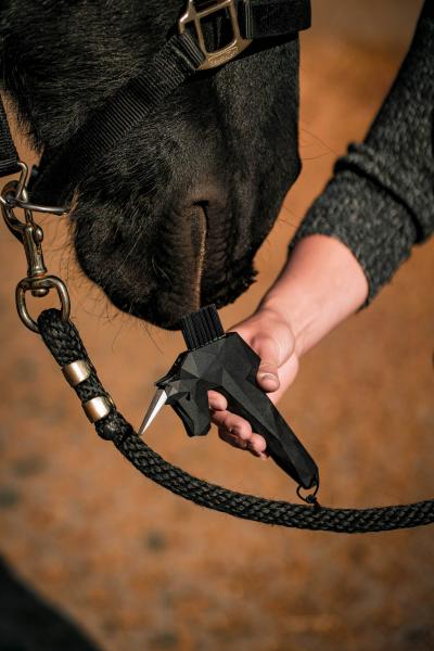 Einhorn Hufauskratzer